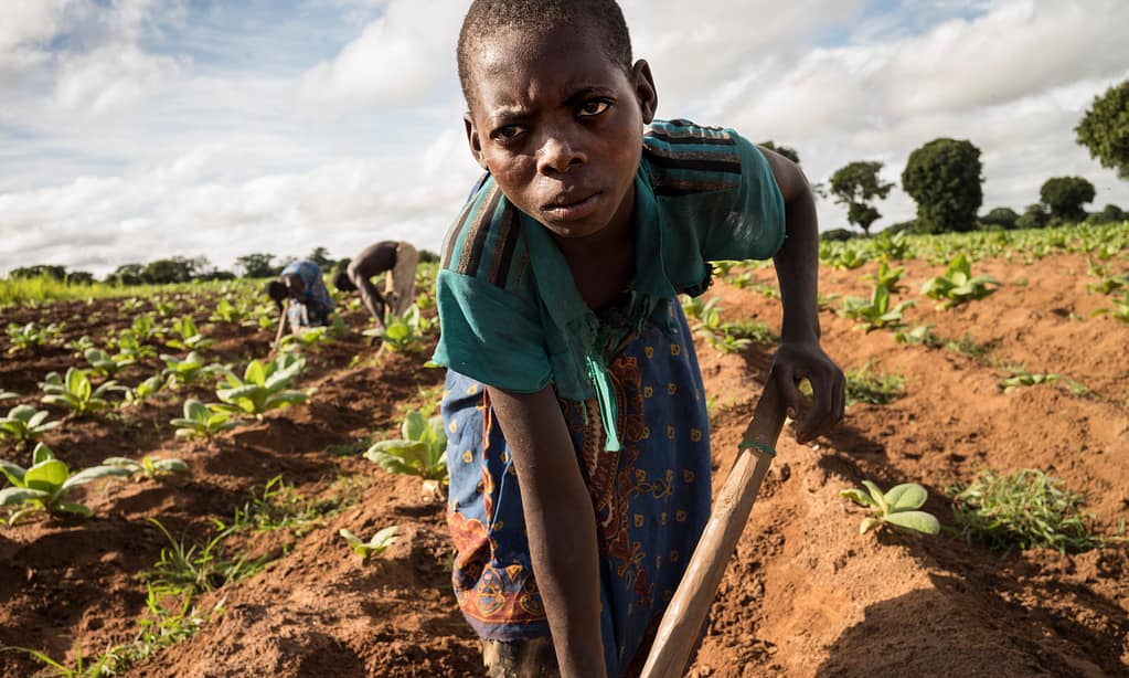 Human-Rights in Value Chains